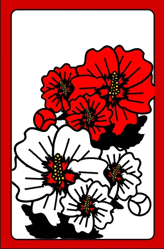 6월 · Jun · Peony Junk · 모란 피 · Junk 피
